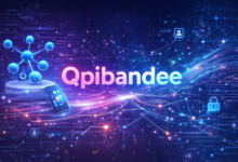 qpibandee technology concept